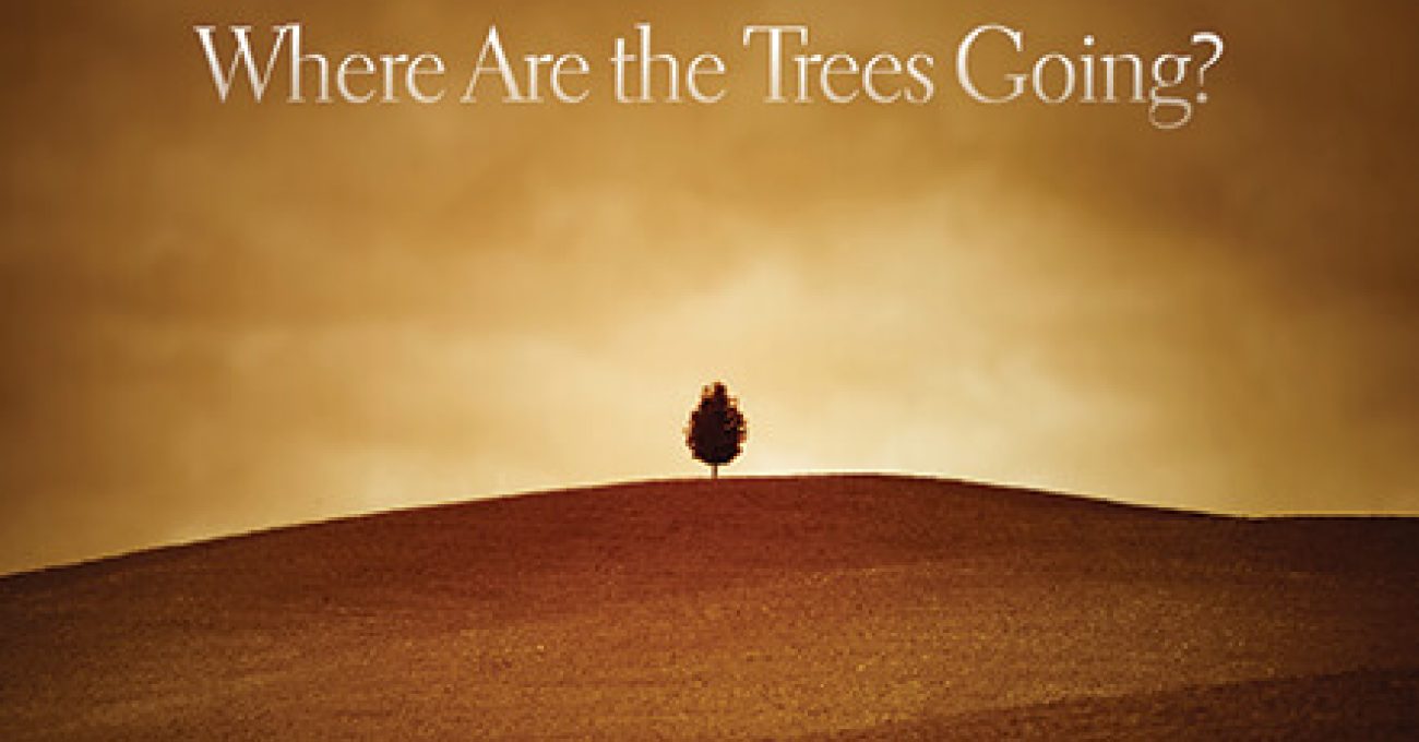 where-are-the-trees-going-