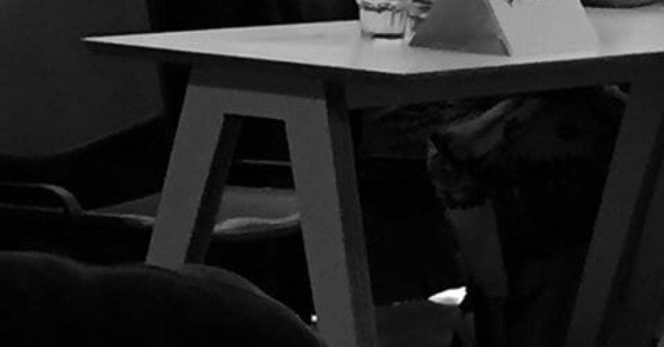 13094328_10156807125085137_685649187788747219_n