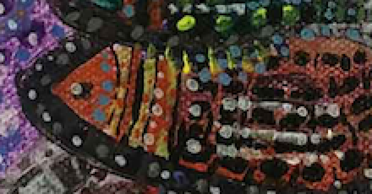 fish220x220