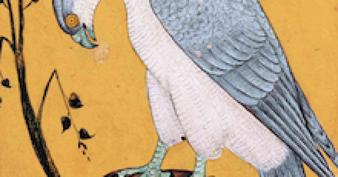 bird220x220