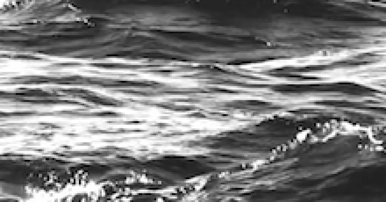 sea220x220
