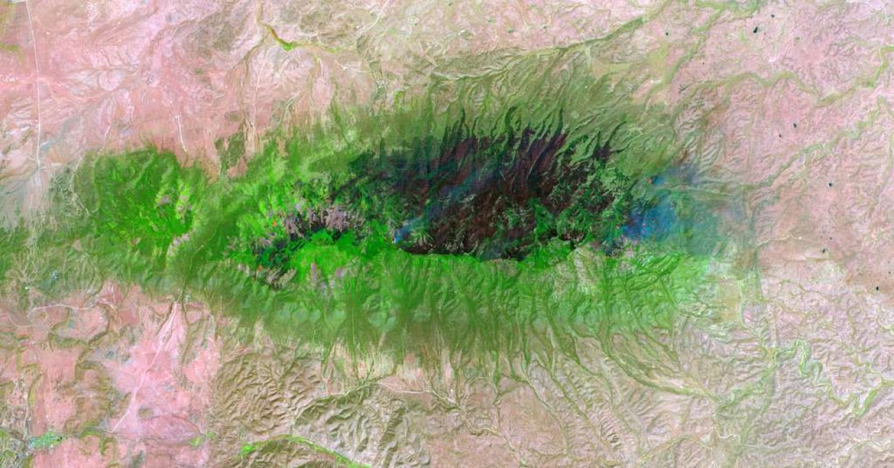 peppin-fire-burn-scar-image-of-the-day-86b03c