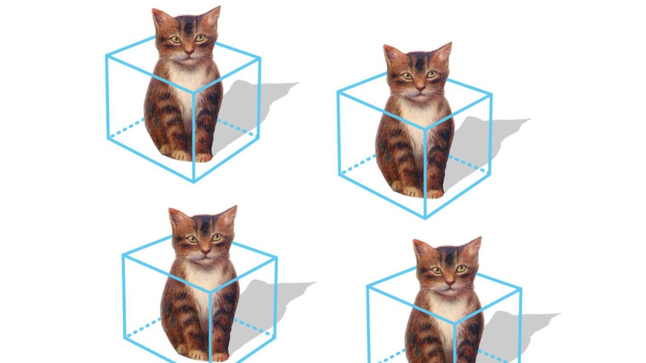 Untitled design - 2024-07-02T145725.165