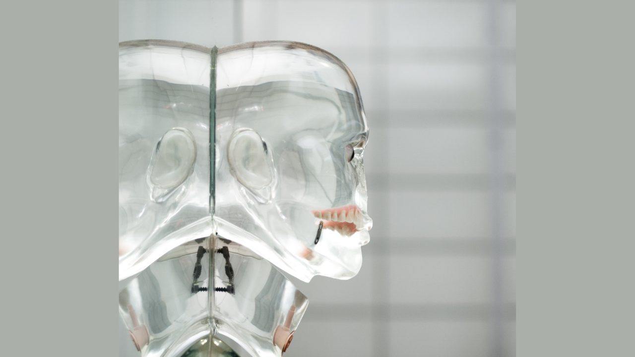 Untitled design - 2024-07-27T101631.999