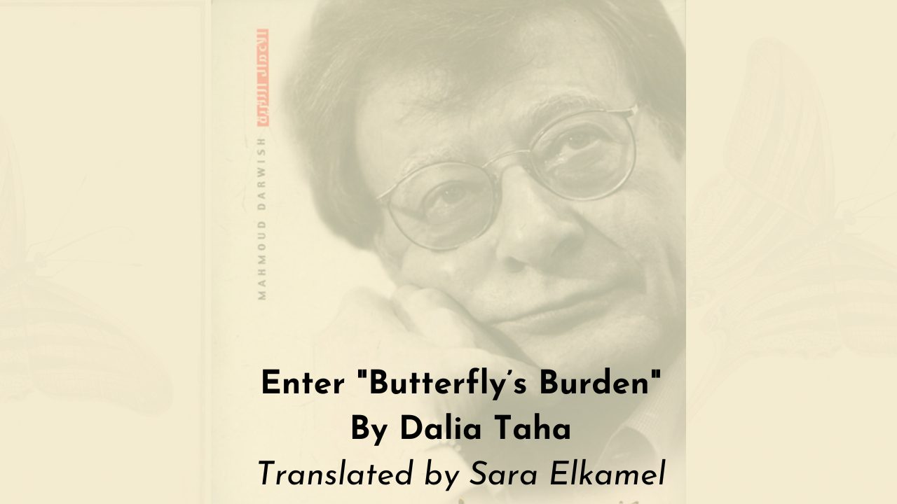 Enter Butterfly’s Burden By Dalia Taha Translated by Sara Elkamel