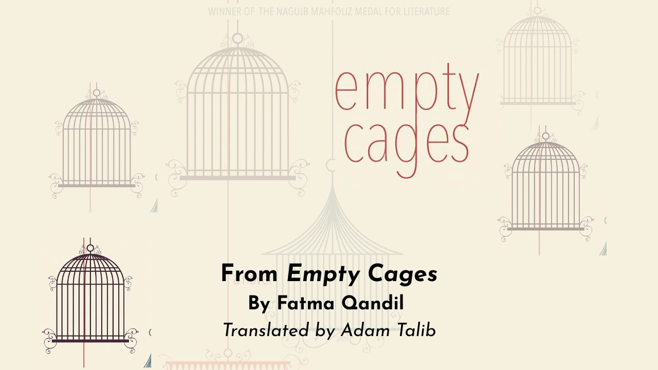 Fatma Qandil and Adam Talib (4)