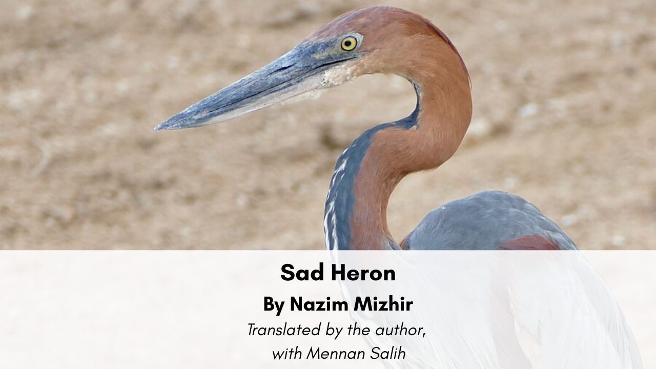 Sad Heron By Nazim Mizhir Translated by the author, with Mennan Salih