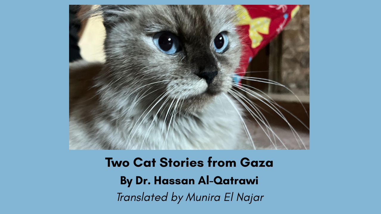 Three Poems from Gaza By Taqwa Ahmed Alwawi (5)